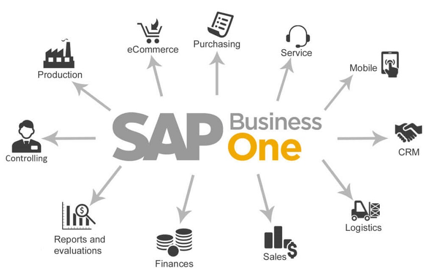 sap business one module